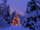 VACANZE DI NATALE IN TOSCANA